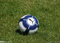 大乐透期号,专家推荐,往绩佳却遭,开云体育,开云体育官网,开云体育app,开云体育平台,KAIYUN,SPORTS,kaiyun登录入口