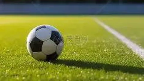 开云体育官方网站网址 产品 123859 j42