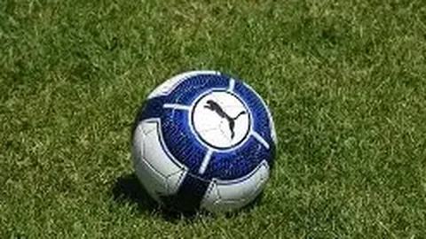 开云体育官方网站网址 资讯 123906 yln