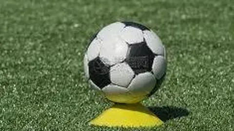 阿夫迪亚近两月表现强势，场均三双领跑全明星？