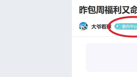 冒牌尤文球员穆哈雷莫維奇約會軟件言謊：賬號被冒用